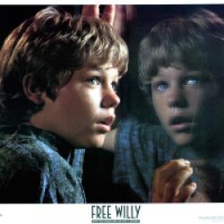 Sauvez Willy