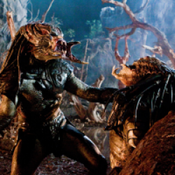 Predator 3