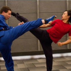L'Homme du Tai Chi
