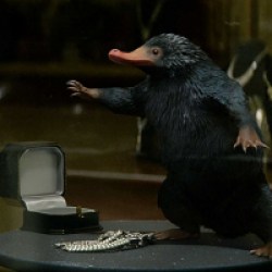 Les Animaux fantastiques