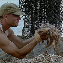Forrest Gump