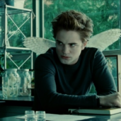 Twilight, chapitre I : Fascination