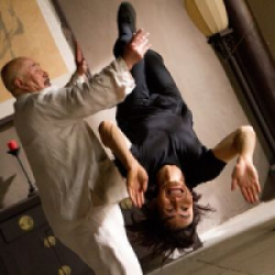 L'Homme du Tai Chi
