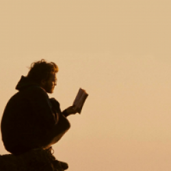 Into the Wild