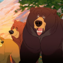Frère des ours