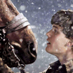Cheval de guerre