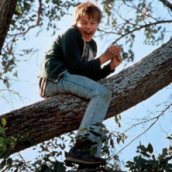 Gilbert Grape