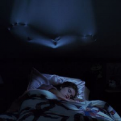 Freddy - Chapitre 1 : Les Griffes de la Nuit