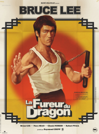 La Fureur du dragon