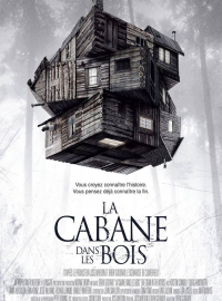 Jaquette du film La Cabane dans les bois