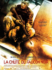 Jaquette du film La Chute du faucon noir