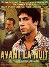 Jaquette du film Avant la nuit