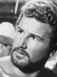 Alan Steel