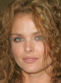 Dina Meyer