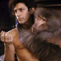Jeff Goldblum