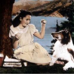 Elizabeth Taylor