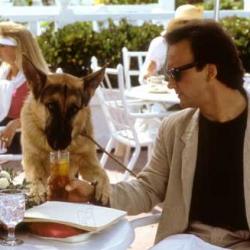 James Belushi