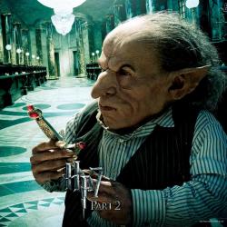Warwick Davis