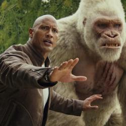 Dwayne Johnson THE ROCK