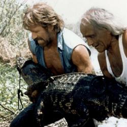Chuck Norris