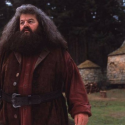 Robbie Coltrane