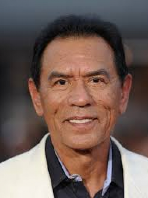 Wes Studi