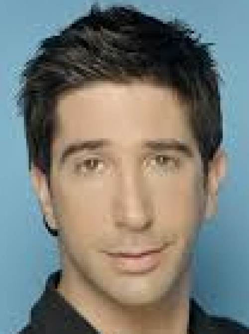 David Schwimmer