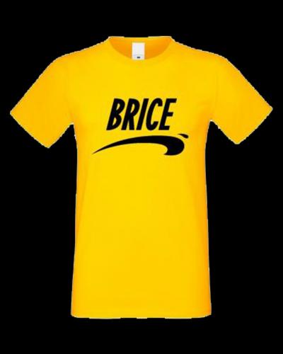 Brice de Nice