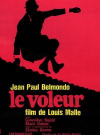 Jaquette du film Le Voleur