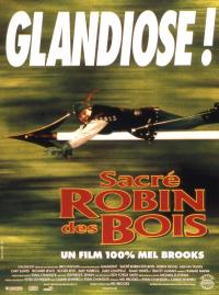 Jaquette du film Sacré Robin des Bois