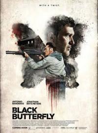 Jaquette du film Black Butterfly