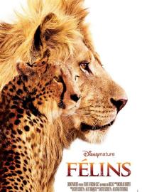 Félins