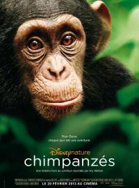 Chimpanzés