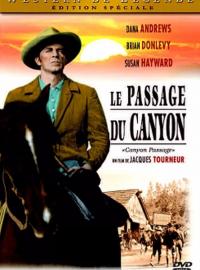 Jaquette du film Le Passage du Canyon