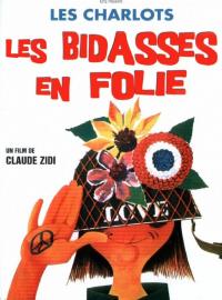 Jaquette du film Les Bidasses en folie