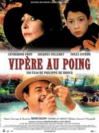 Jaquette du film Vipère au poing