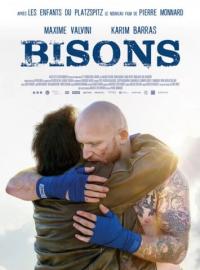 Jaquette du film Bisons