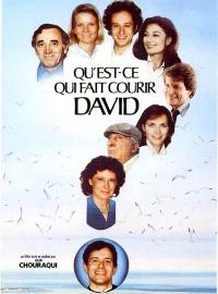 Jaquette du film Qu'est-ce qui fait courir David ?