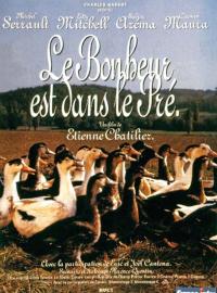 Jaquette du film Le bonheur est dans le pré