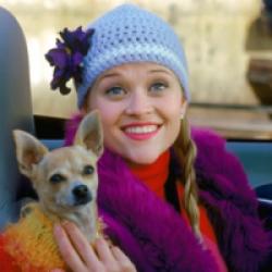 La blonde contre-attaque