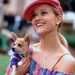 La blonde contre-attaque