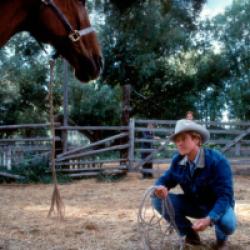 L'Homme qui murmurait à l'oreille des chevaux