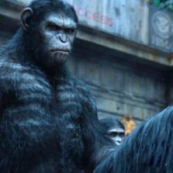 La Planète des singes : l'affrontement