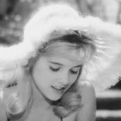 Lolita