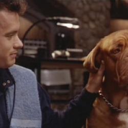 Turner & Hooch