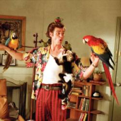 Ace Ventura, détective chiens et chats