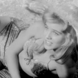 Lolita