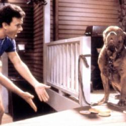 Turner & Hooch