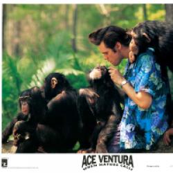Ace Ventura en Afrique