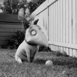 Frankenweenie